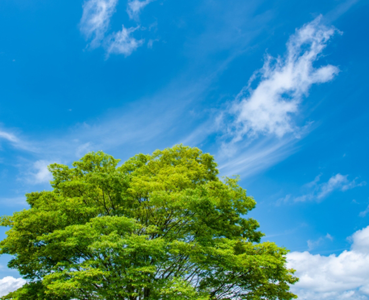 環境に優しい住宅