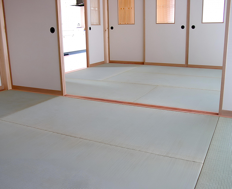 ここに見出しが入ります